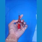 sanke 13cm