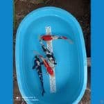 paket 32-35cm