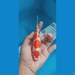 kohaku 16 cm
