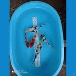 paket 25-29cm