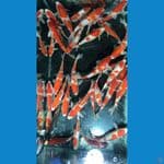 Paket Kohaku Grade A 30 ekor 20-28cm
