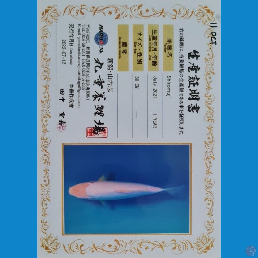 Shiromuji Marujyu Farm (Import)