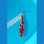 kohaku hinazuma 28 cm strong 