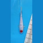 TC CUTING KERING 25CM