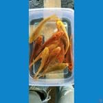 paket karamel mik 15-17cm