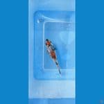 showa 10 cm