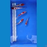 pkt:12-20cm