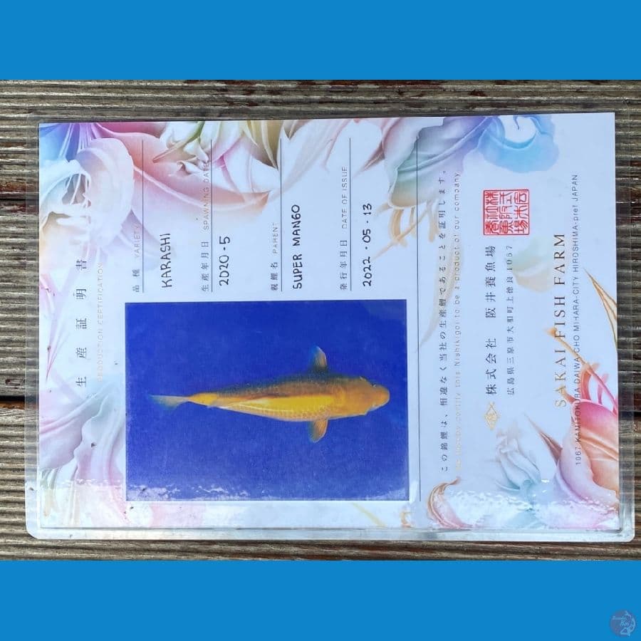 Karashi Mango Sakai Fish Farm