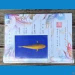 Karashi Mango Sakai Fish Farm