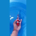 doit ori 17 cm