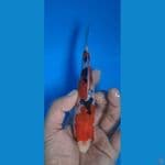 sanke 17cm SQ