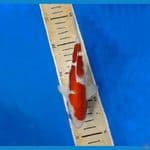 thor kohaku inazuma 20cm