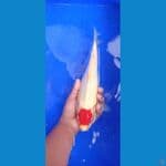 tancho kohaku calon punuk 27 cm cater