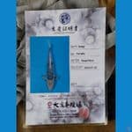 Asagi 45cm Ooya koi farm