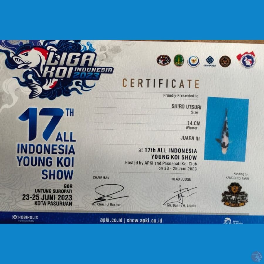 Shiro SQ Juara 3