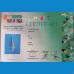 SORAGOI GINRIN 33 CM / JUARA 3