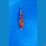 showa 