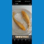 2ekor punuk full ginrin 