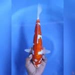 ( 31CM ) KIKUSUI POLA ANTIK ORIGINAL 