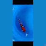 Showa 30cm Male