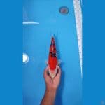 SANKE 34CM - FEMALE