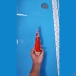 KOHAKU 33CM - FEMALE