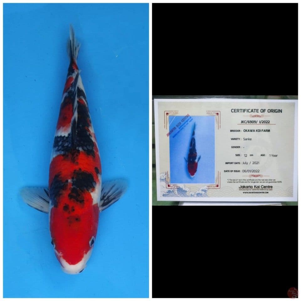 Okawa Sanke