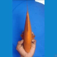 red karashi