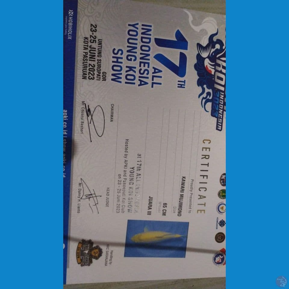 karasi 65ap prestasi juara 3