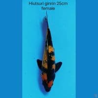 Hiutsuri Ginrin