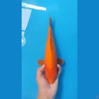 BENIGOI ~33CM FEMALE~