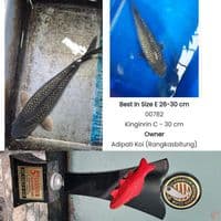 BLACK DIAMOND 47CM