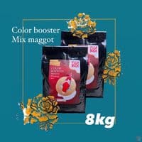 8kg mix maggot COLOR