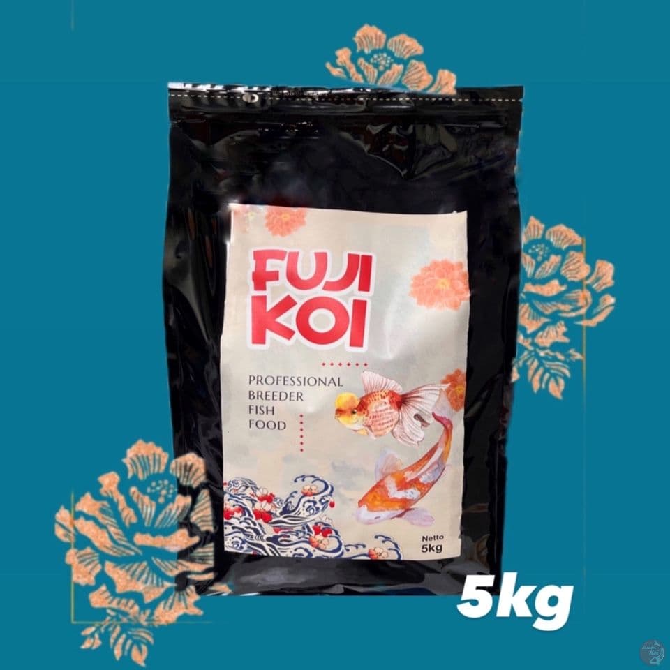 5kg pro breeder fuji koi 