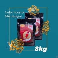 8kg color mix maggot 