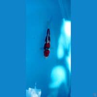 ghost 26