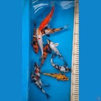mix