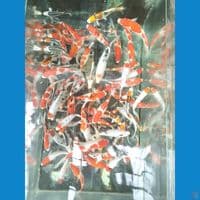 paket 80ekor