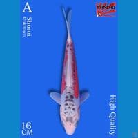 Shusui 16cm HQ