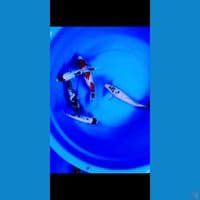 mix paket tes kolam
