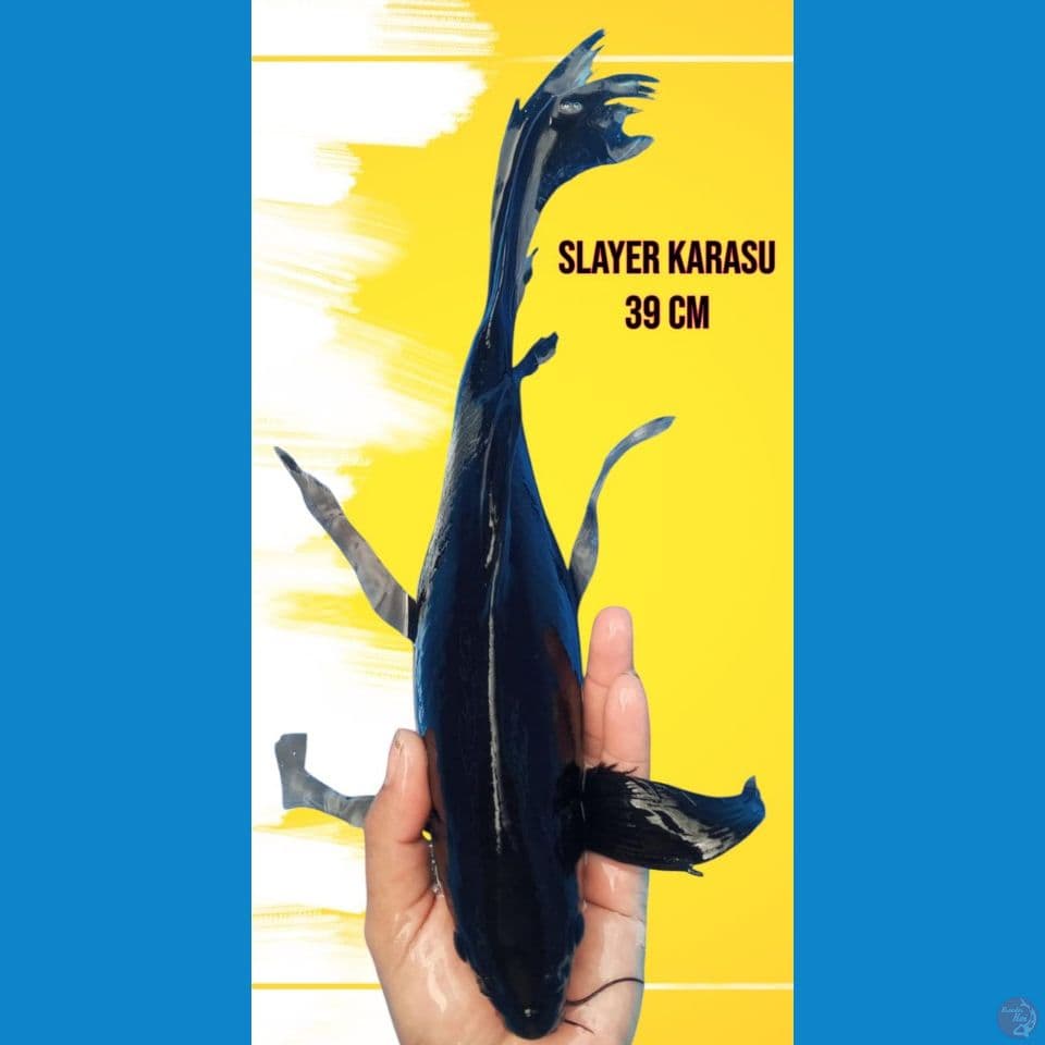 Slayer Karasu