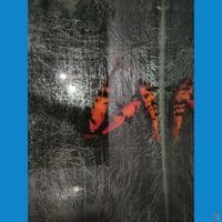 Paket 3ekor Hi-Utsuri Mantab 27-31cm™