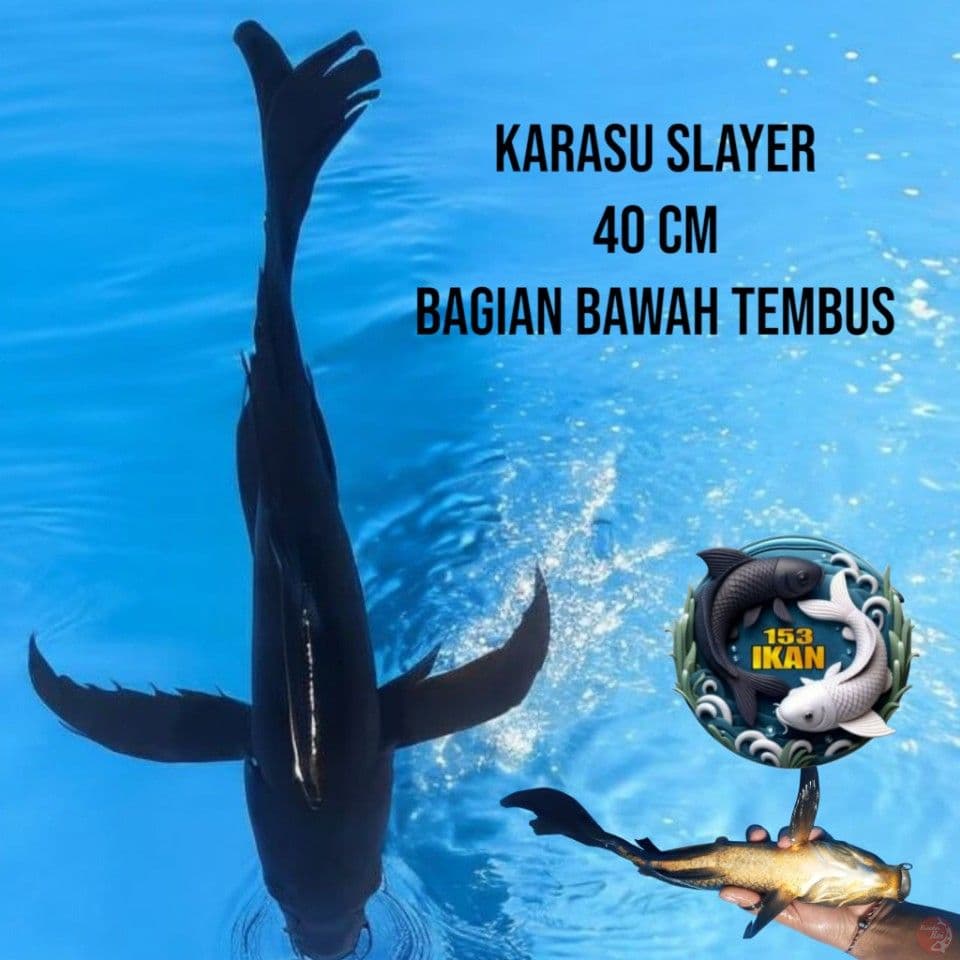 Karasu Slayer