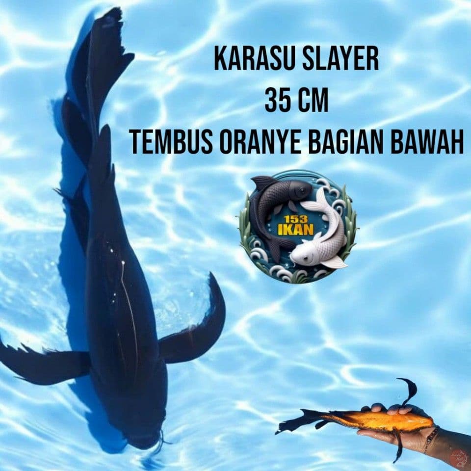 Karasu Slayer