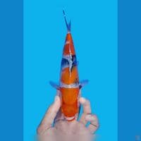 showa tategoi 25cm