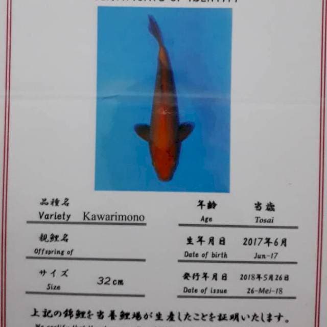 Dainichi Karashi