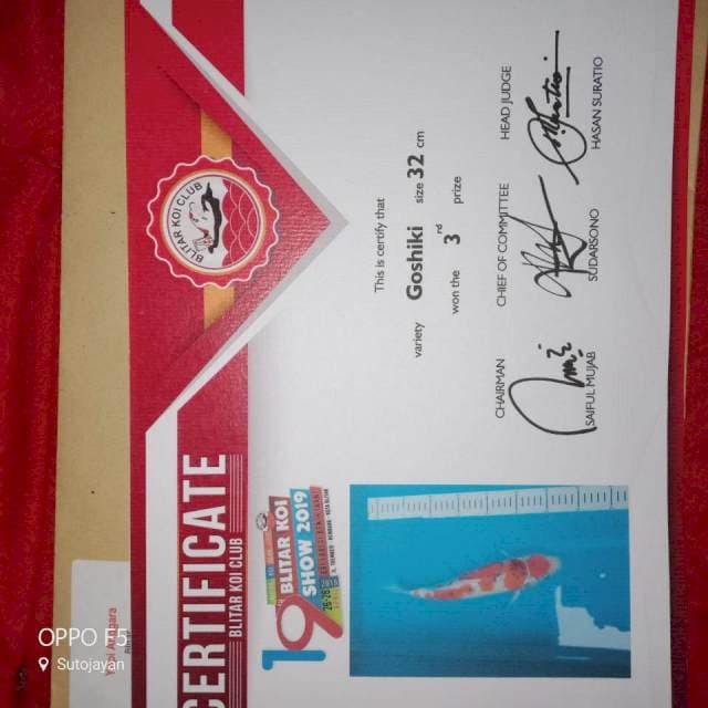 Ghosiki serti juara 3 piala presiden