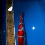 Kohaku