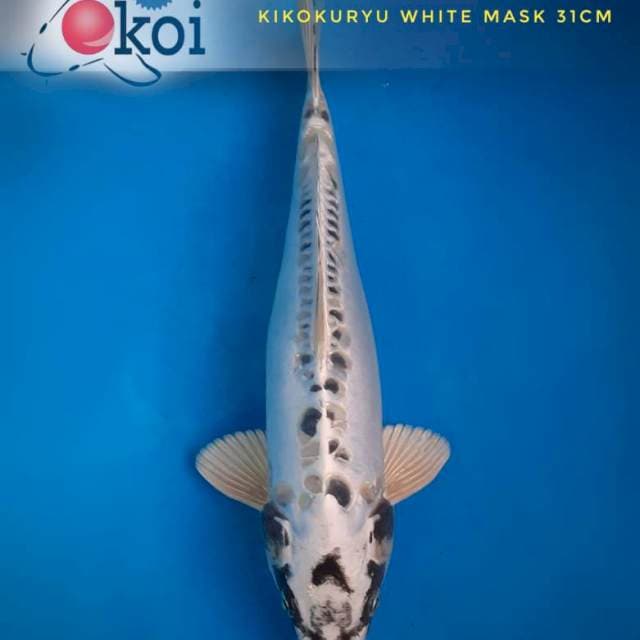 Kiko white masked
