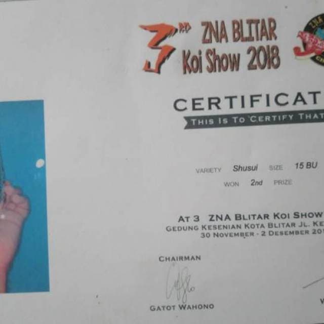 Shusui serti juara 2018